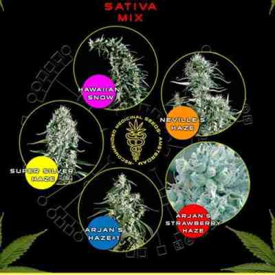 Sativa Mix > Green House Seed Company | Graines Féminisées  |  Sativa